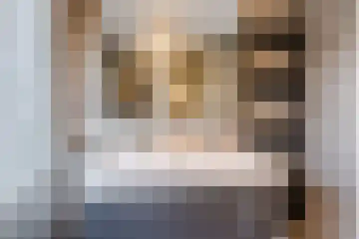 Arenberglaan 17 Breda thumbnail 15