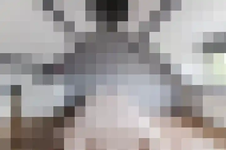 Arenberglaan 17 Breda thumbnail 25