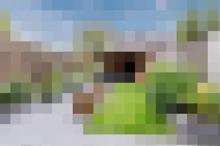 Arenberglaan 17 Breda thumbnail 29