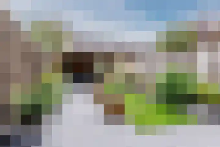 Arenberglaan 17 Breda thumbnail 30