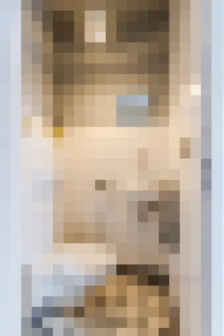 Arenberglaan 17 Breda thumbnail 5