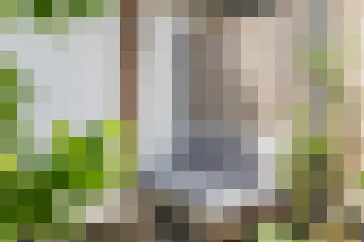 Arenberglaan 171 Breda thumbnail 31