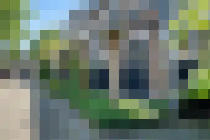 Arenberglaan 171 Breda thumbnail 38