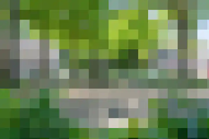 Arenberglaan 171 Breda thumbnail 41