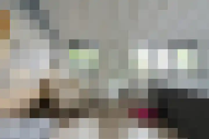 Arenberglaan 177 Breda thumbnail 22