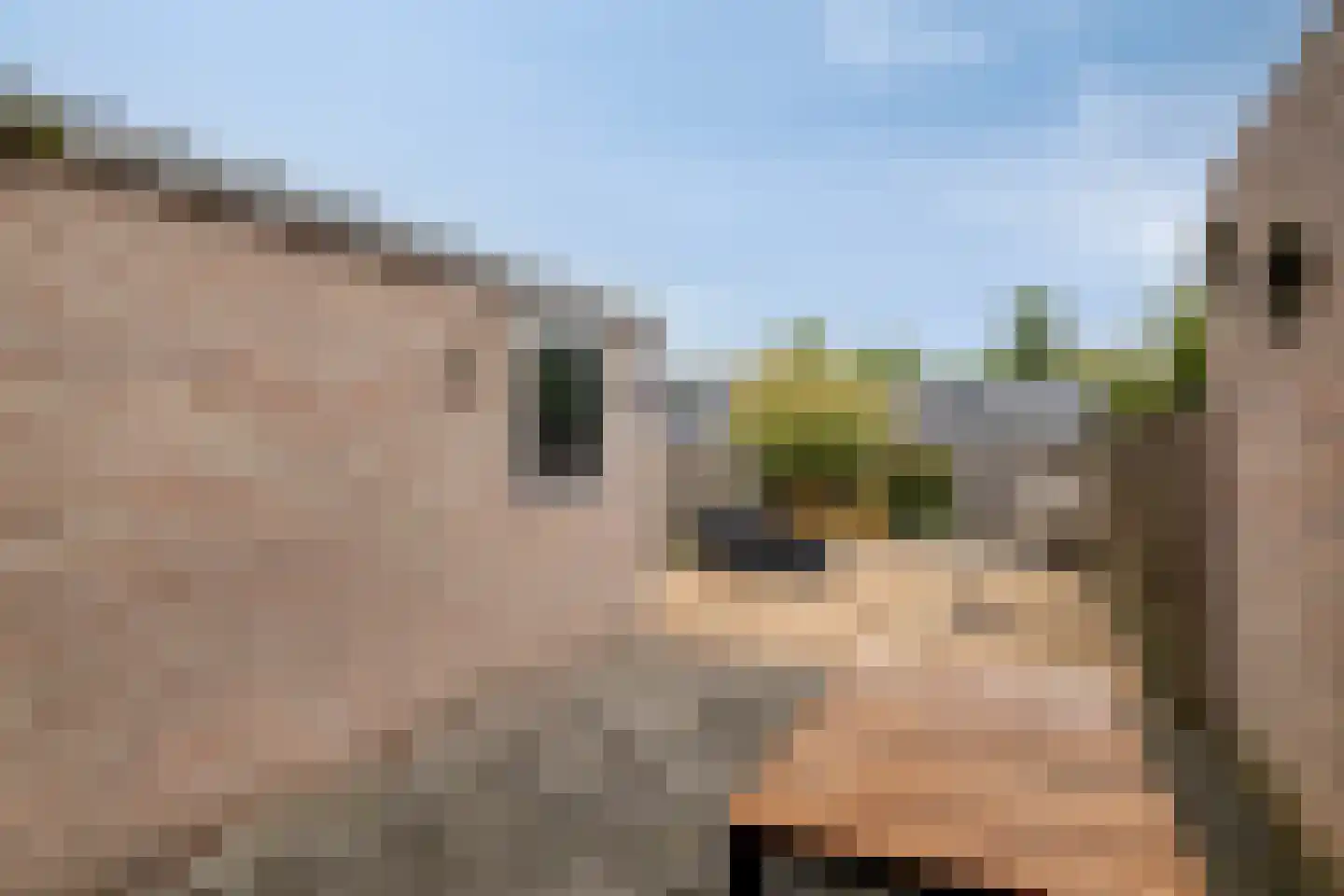 Arenberglaan 252 Breda thumbnail 33
