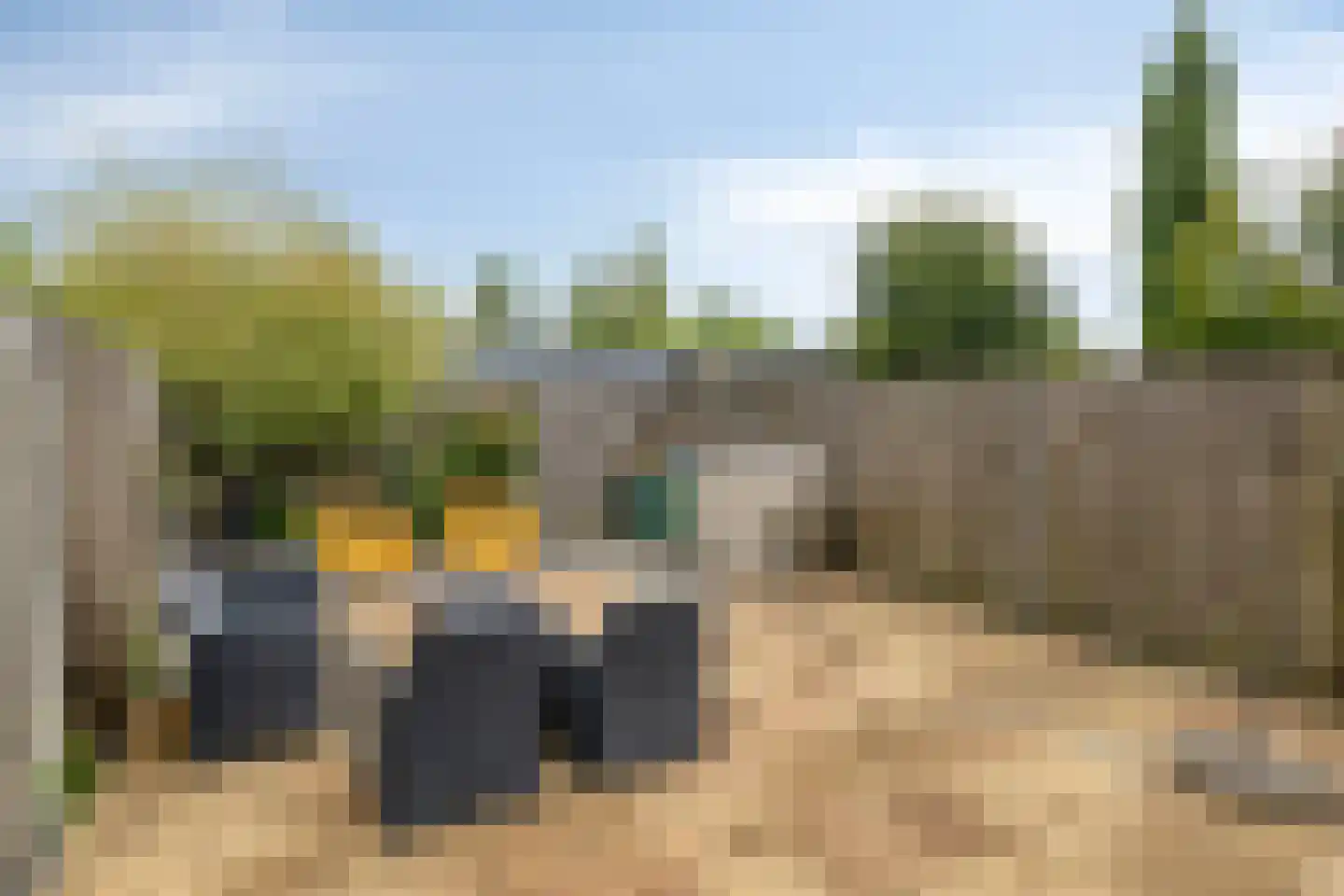 Arenberglaan 252 Breda thumbnail 34