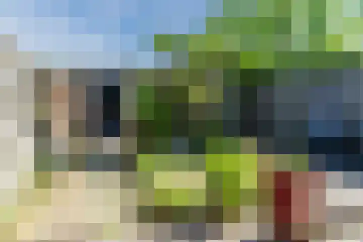 Arenberglaan 322 Breda thumbnail 25
