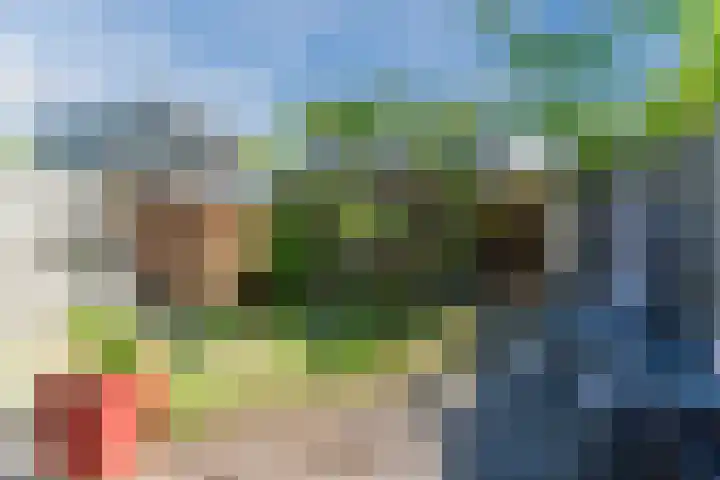Arenberglaan 322 Breda thumbnail 26