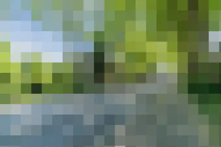 Arenberglaan 322 Breda thumbnail 28