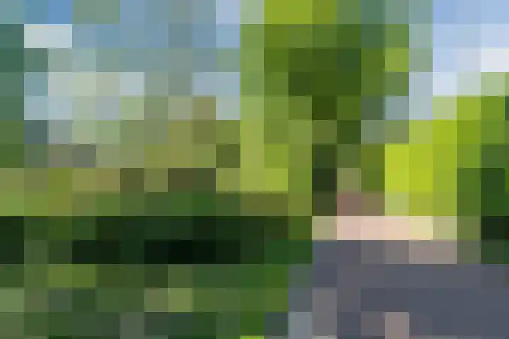 Arenberglaan 322 Breda thumbnail 30