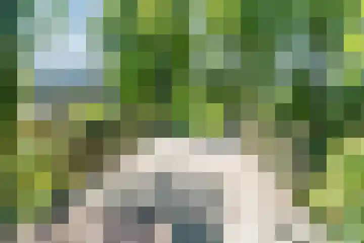 Arenberglaan 322 Breda thumbnail 31