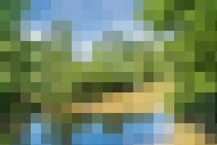 Arenberglaan 322 Breda thumbnail 32