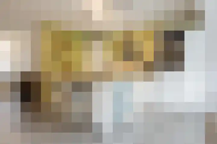 Arenberglaan 99 Breda thumbnail 10