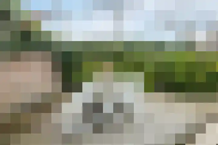 Arenberglaan 99 Breda thumbnail 26