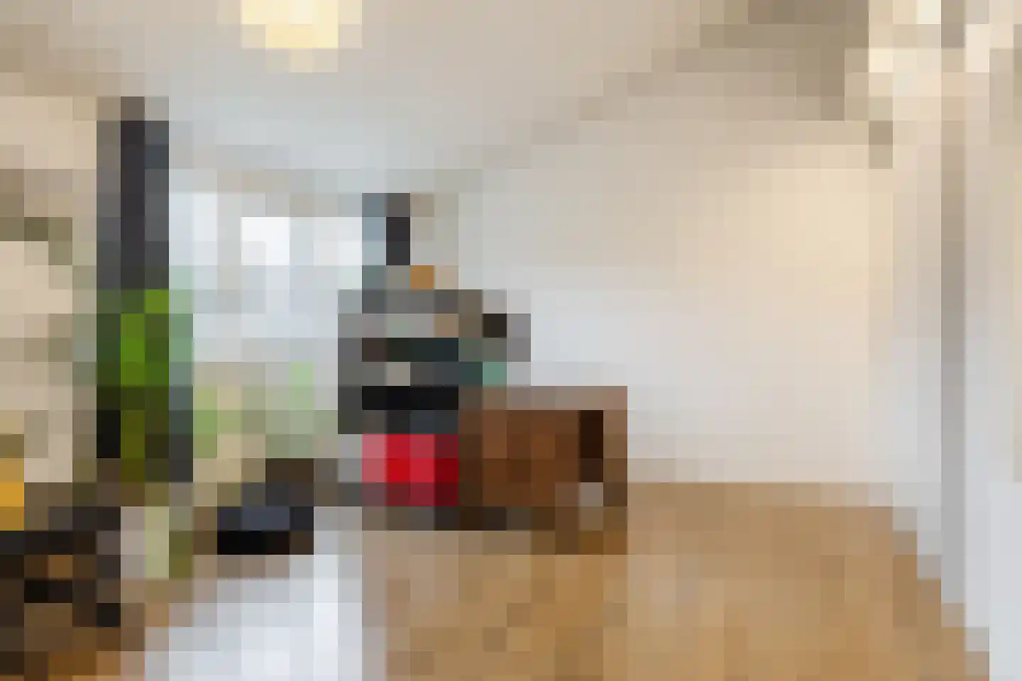 Arenberglaan 99 Breda thumbnail 33