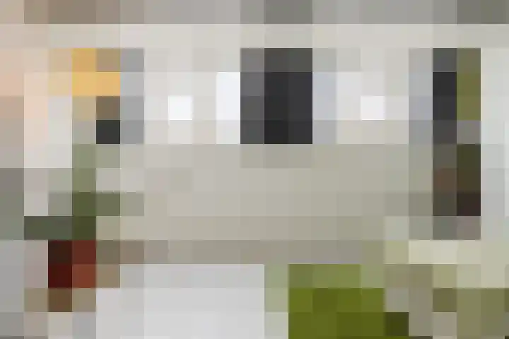 Arenberglaan 99 Breda thumbnail 40