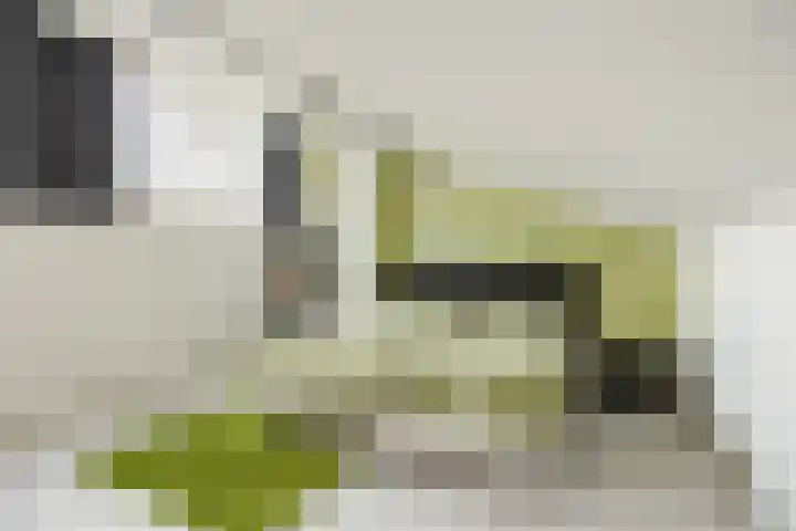 Arenberglaan 99 Breda thumbnail 41