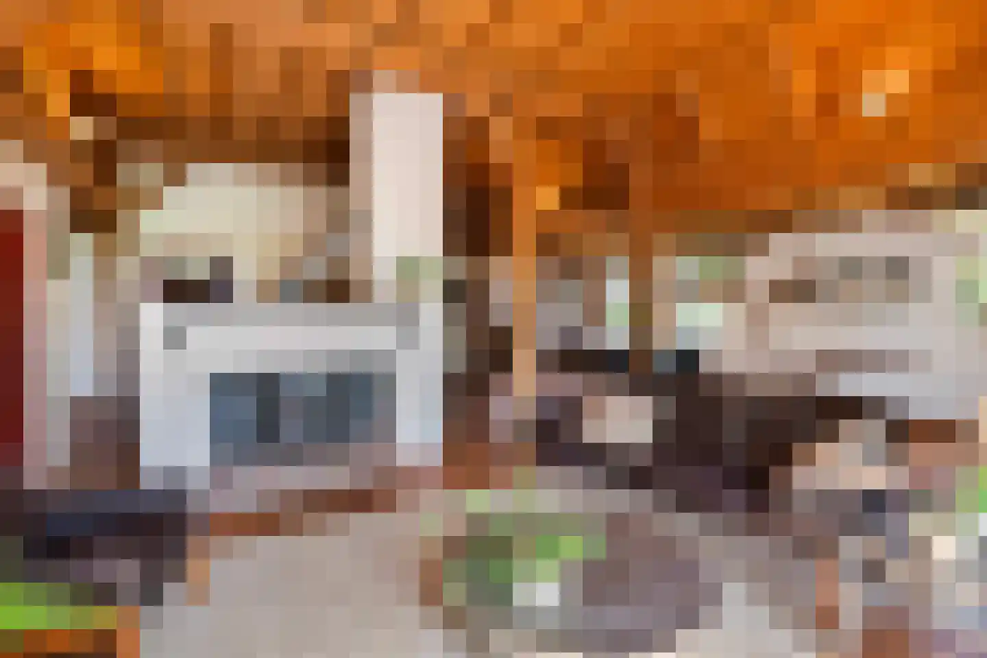 Arenborgweg 113 Venlo thumbnail 10