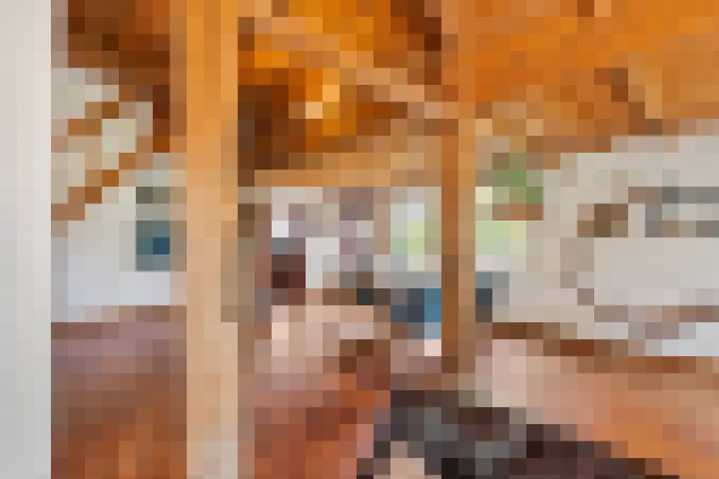 Arenborgweg 113 Venlo thumbnail 11