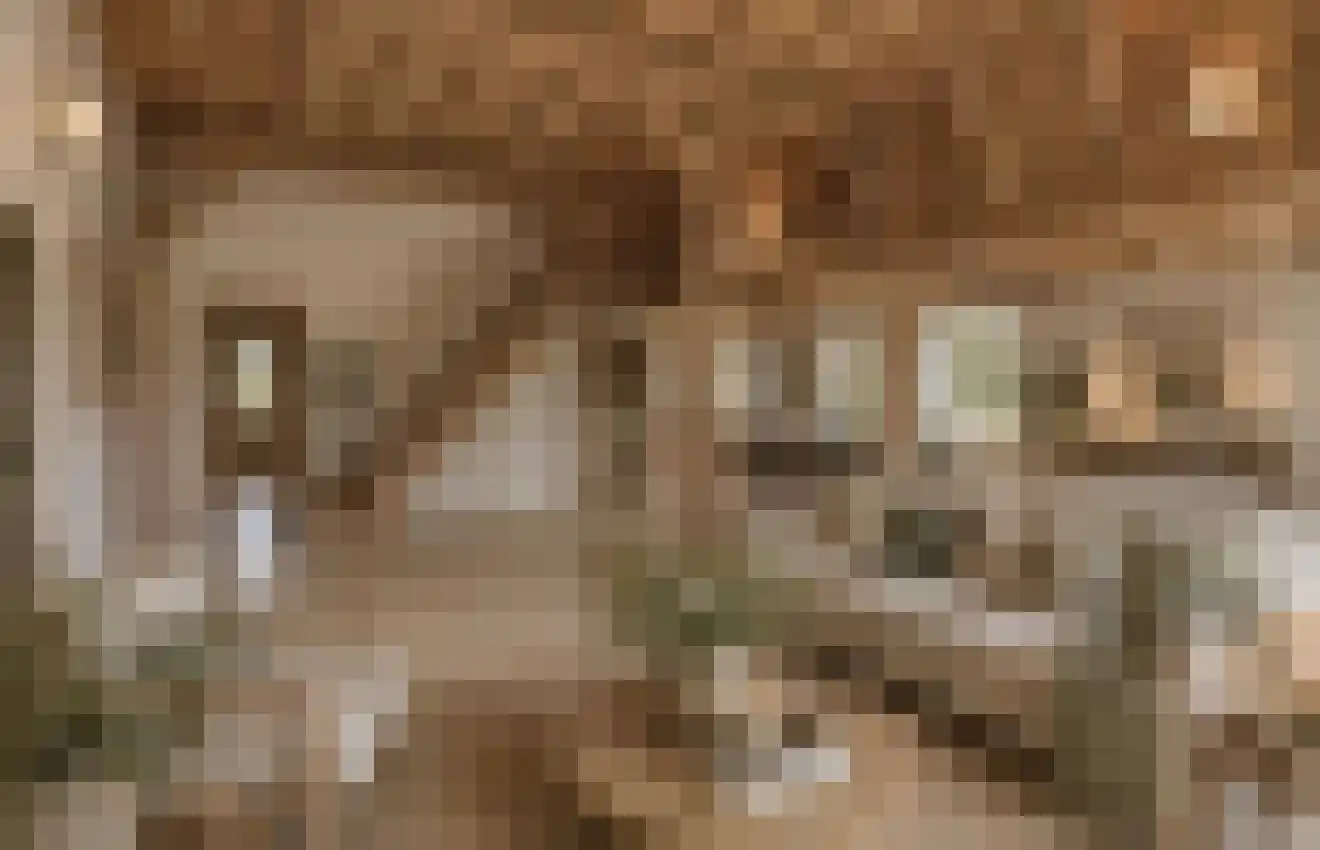 Arenborgweg 113 Venlo thumbnail 12