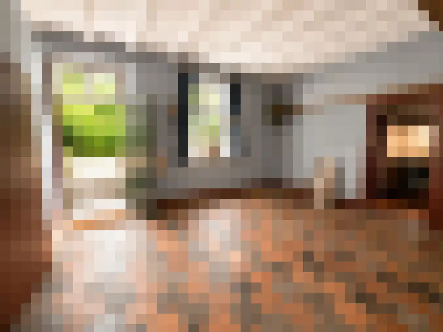 Arenborgweg 113 Venlo thumbnail 17