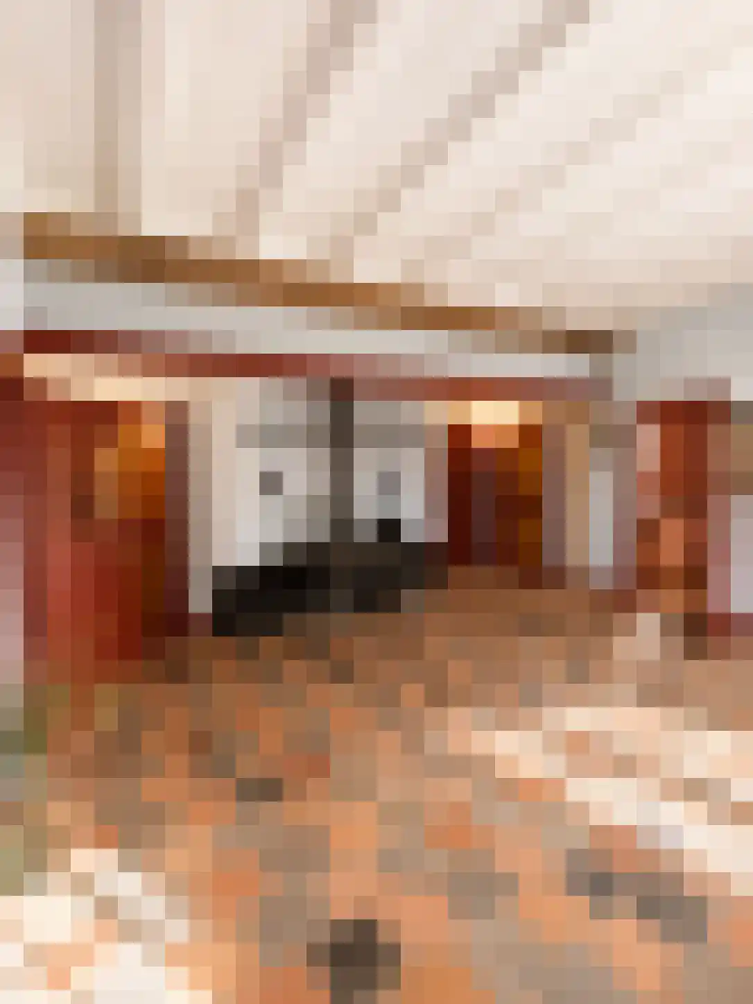 Arenborgweg 113 Venlo thumbnail 18