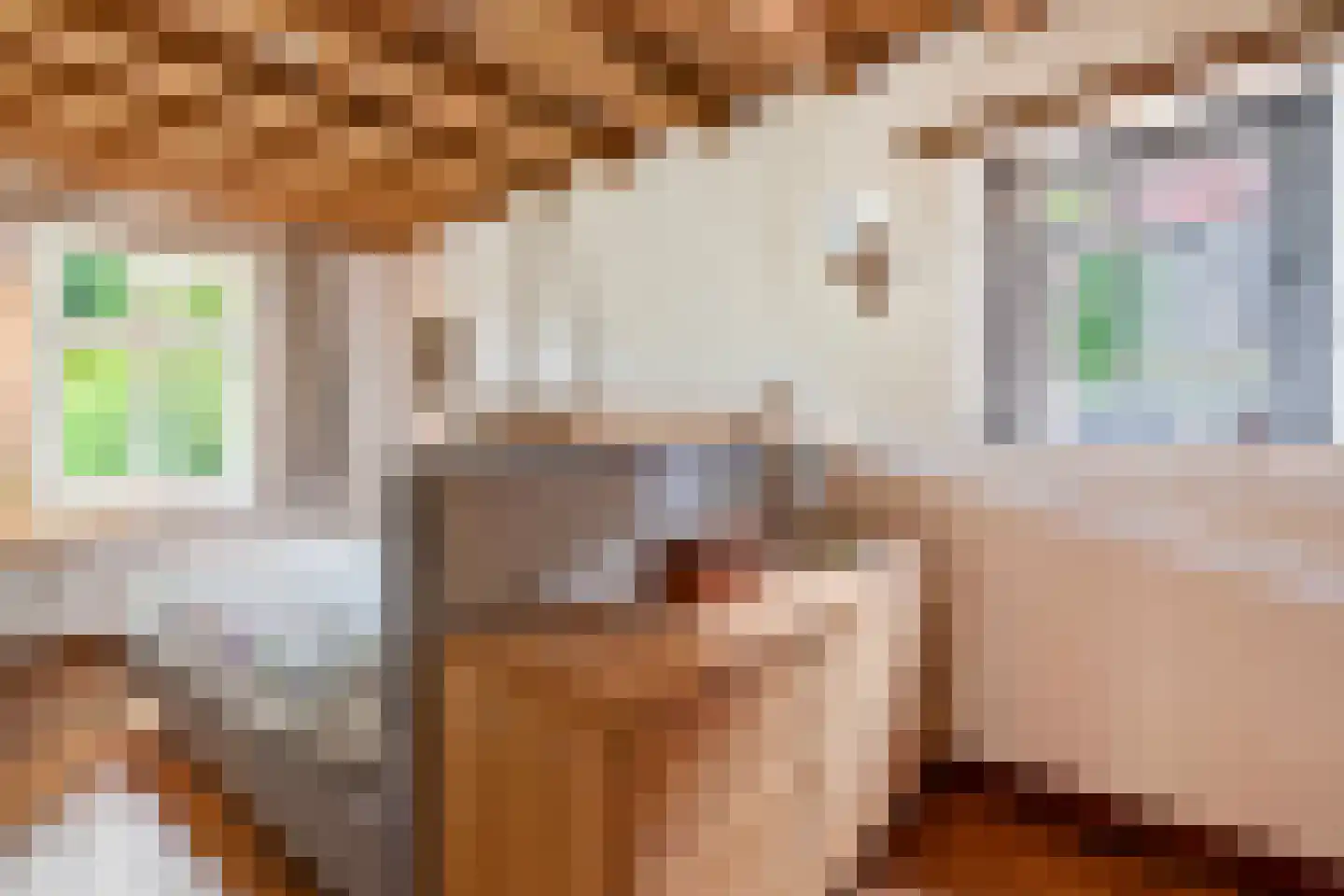 Arenborgweg 113 Venlo thumbnail 19