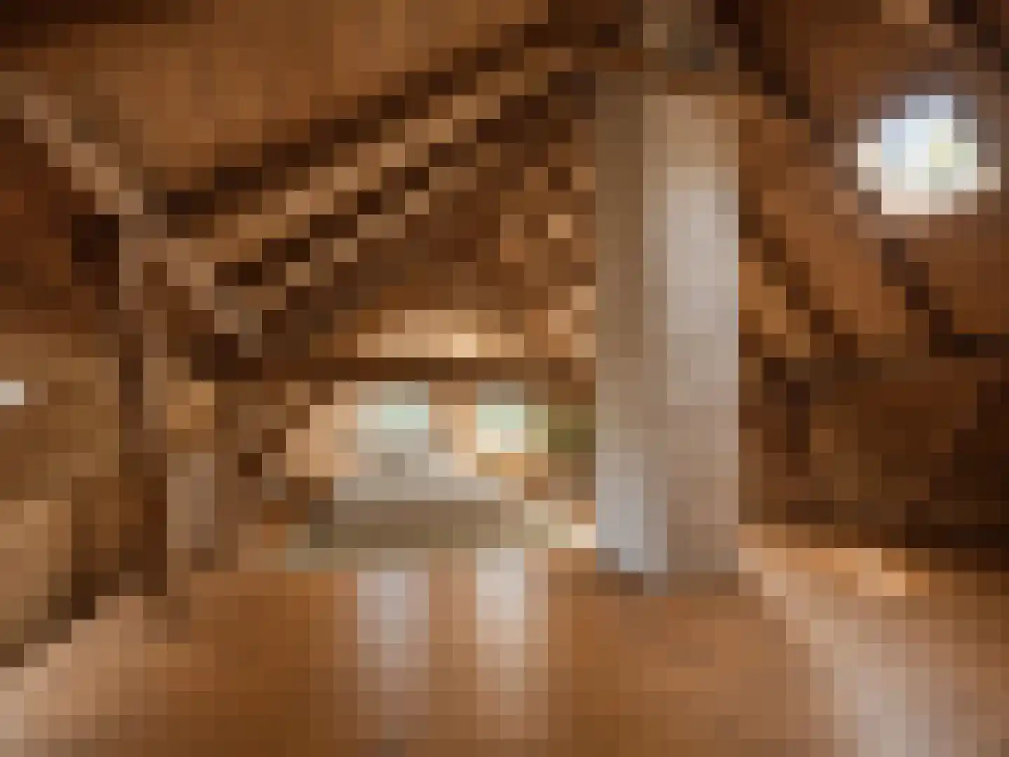 Arenborgweg 113 Venlo thumbnail 23
