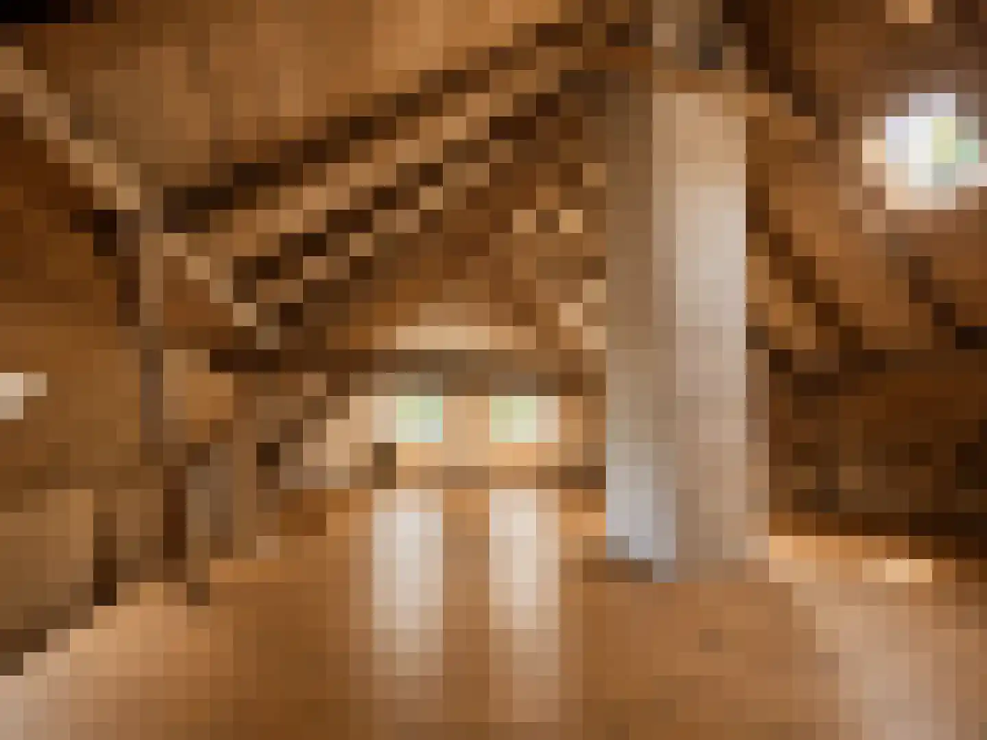 Arenborgweg 113 Venlo thumbnail 26