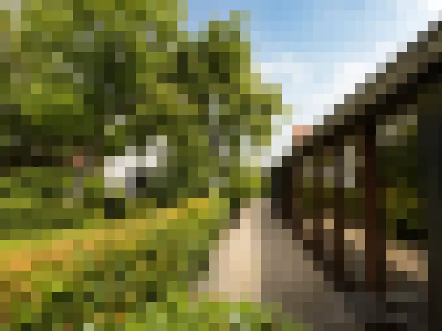Arenborgweg 113 Venlo thumbnail 29