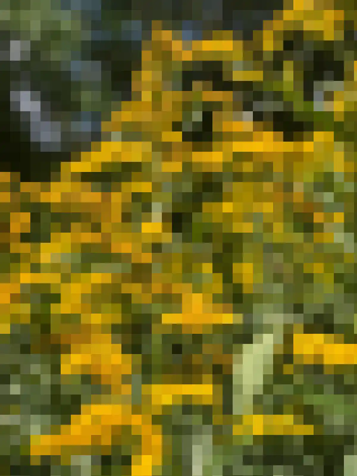Arenborgweg 113 Venlo thumbnail 32