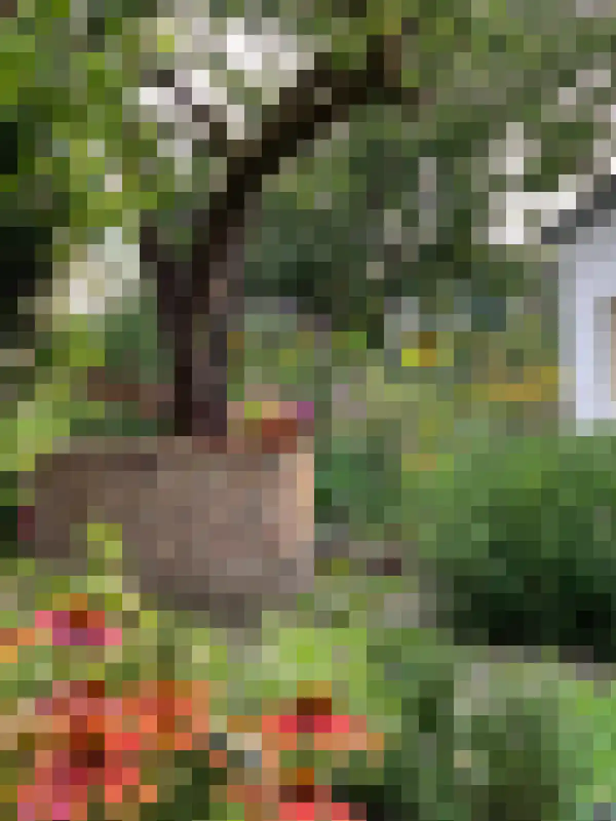Arenborgweg 113 Venlo thumbnail 33