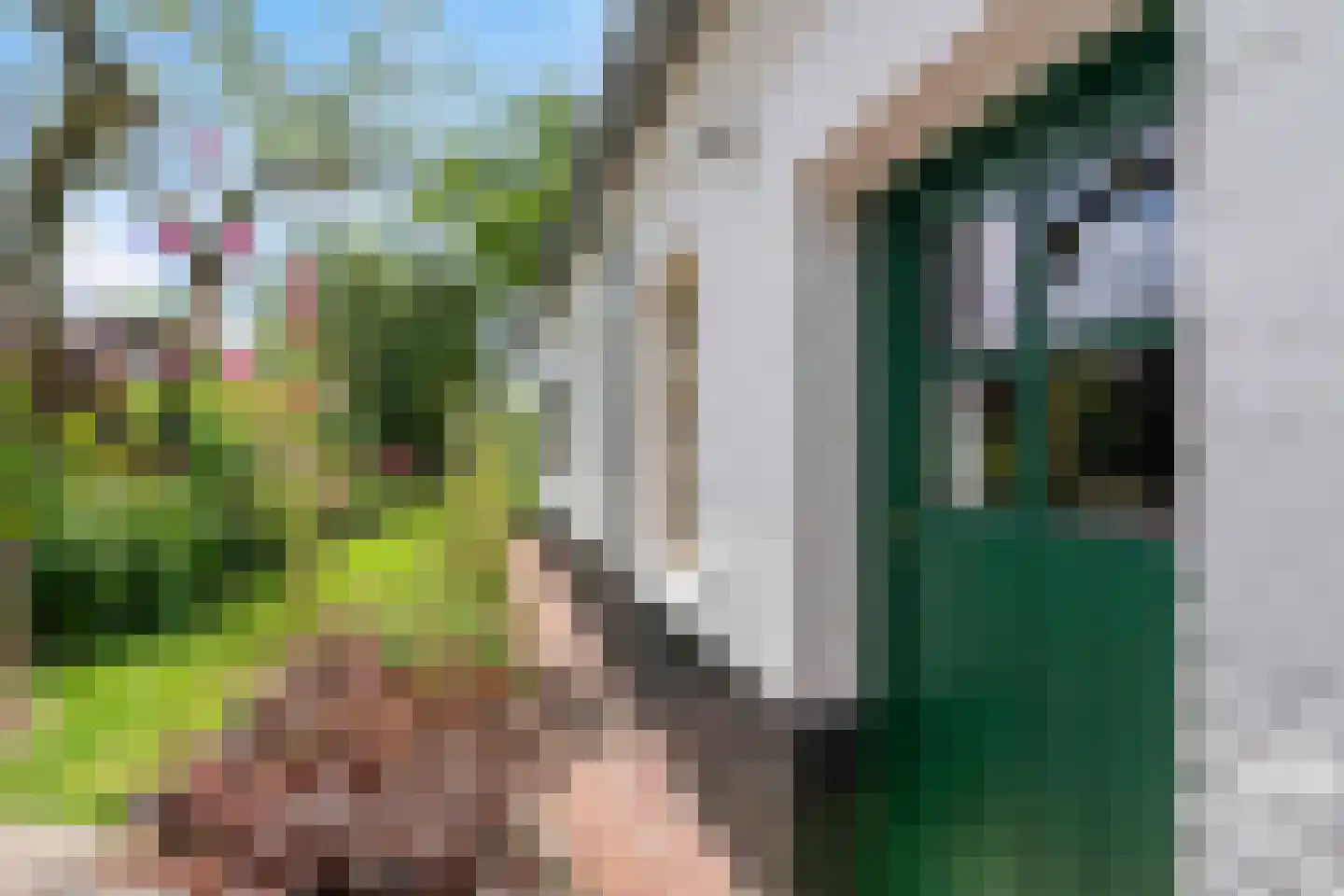Arenborgweg 113 Venlo thumbnail 34