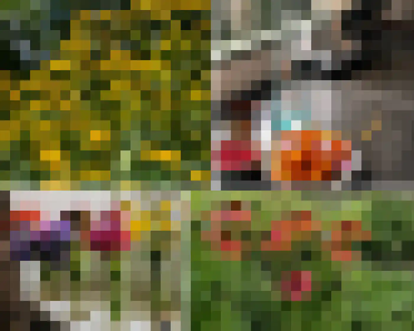 Arenborgweg 113 Venlo thumbnail 34