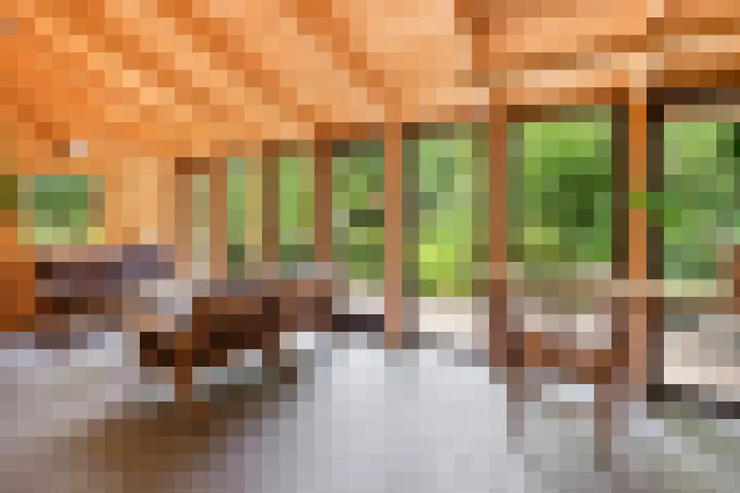 Arenborgweg 113 Venlo thumbnail 35