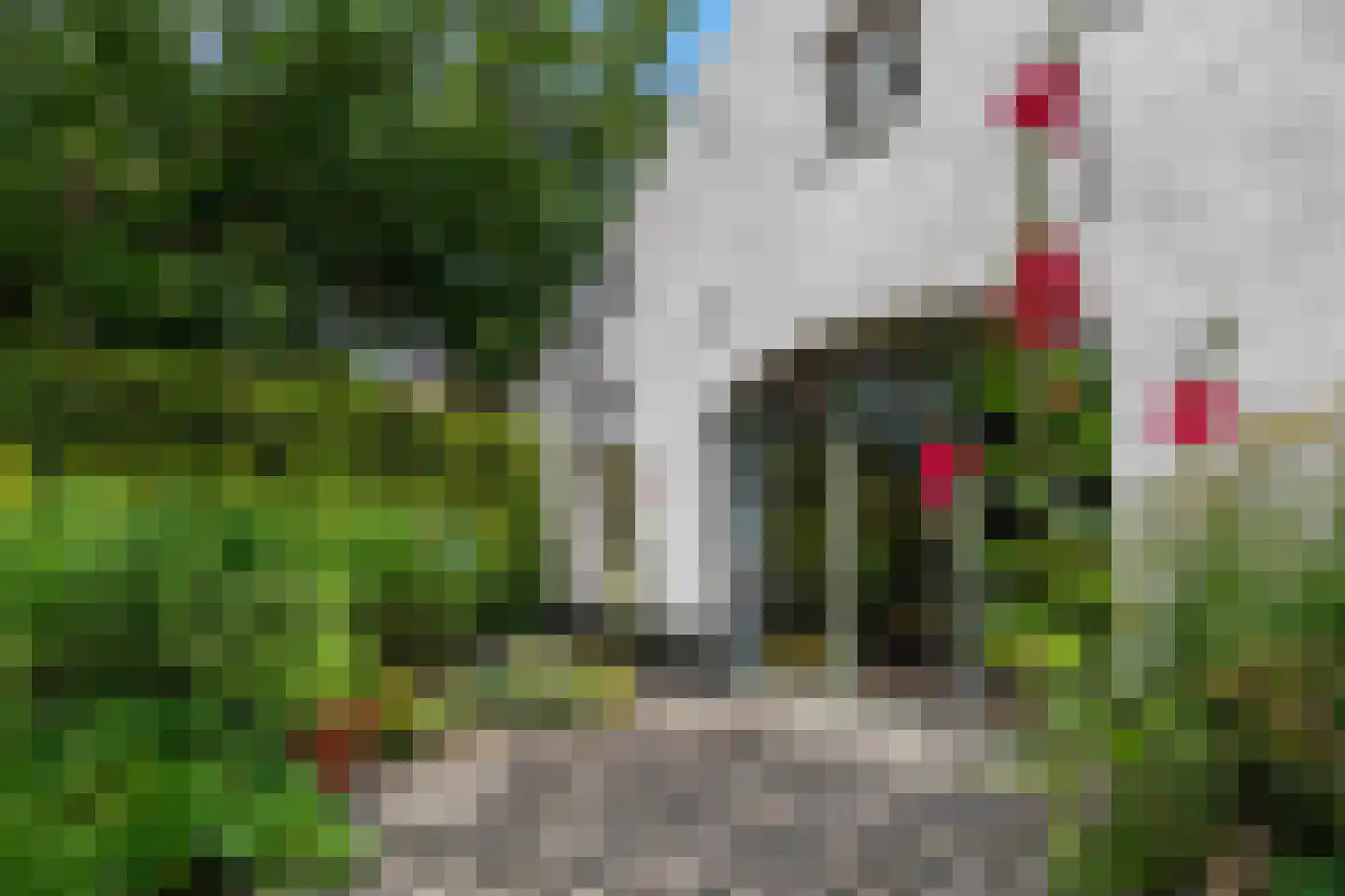 Arenborgweg 113 Venlo thumbnail 31
