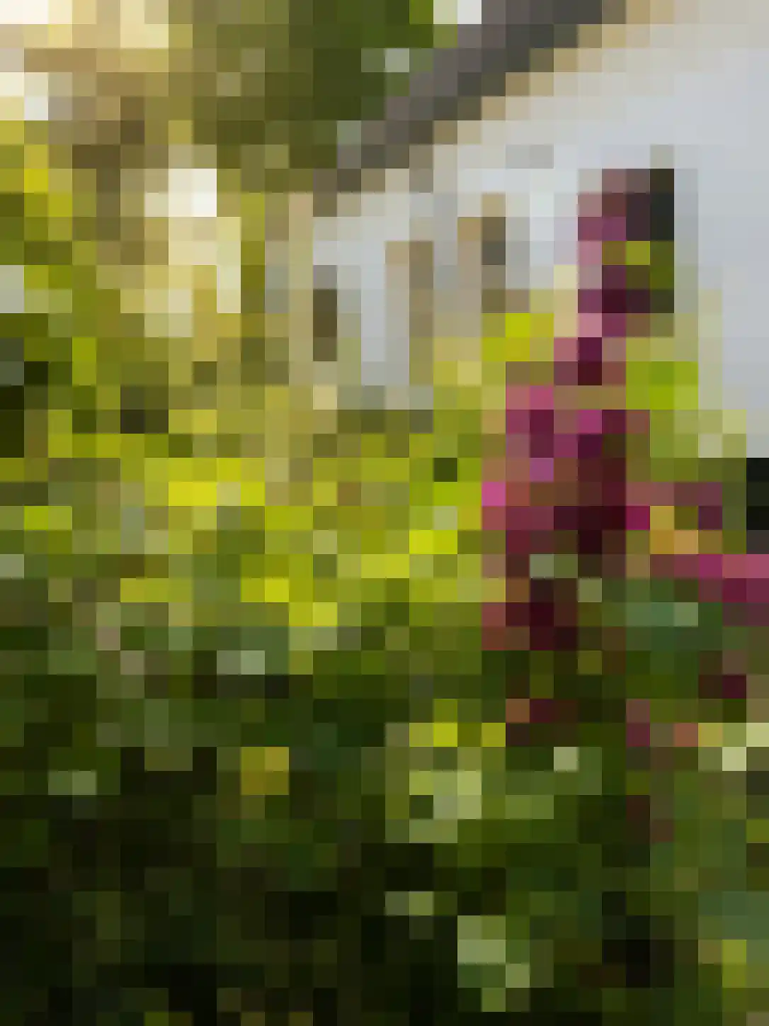 Arenborgweg 113 Venlo thumbnail 35