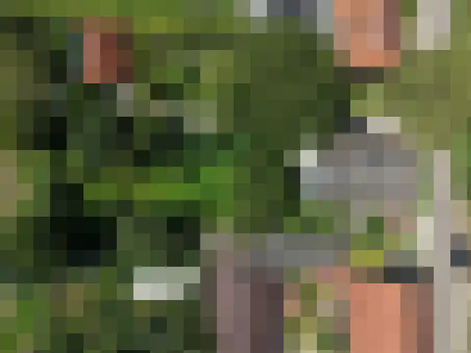 Arenborgweg 113 Venlo thumbnail 37