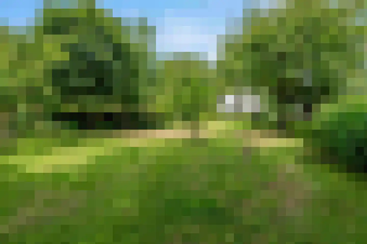 Arenborgweg 113 Venlo thumbnail 33