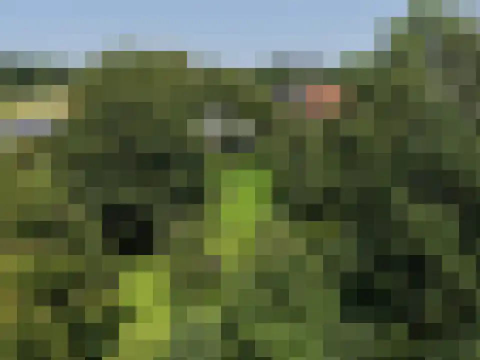 Arenborgweg 113 Venlo thumbnail 38