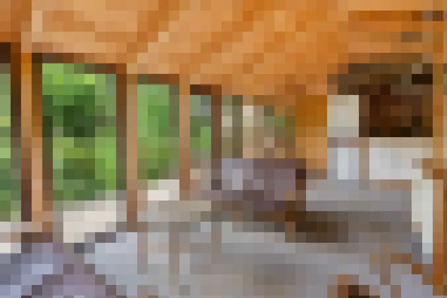 Arenborgweg 113 Venlo thumbnail 37