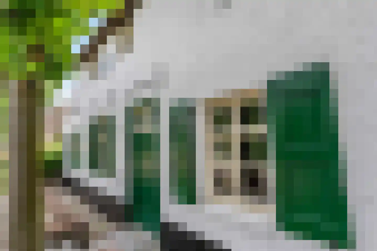 Arenborgweg 113 Venlo thumbnail 42