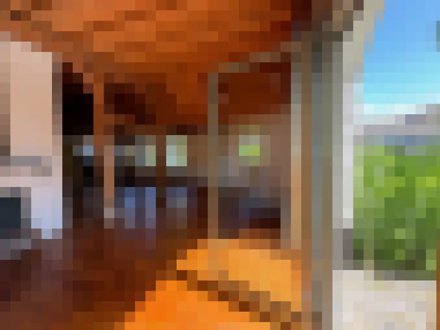 Arenborgweg 113 Venlo thumbnail 5