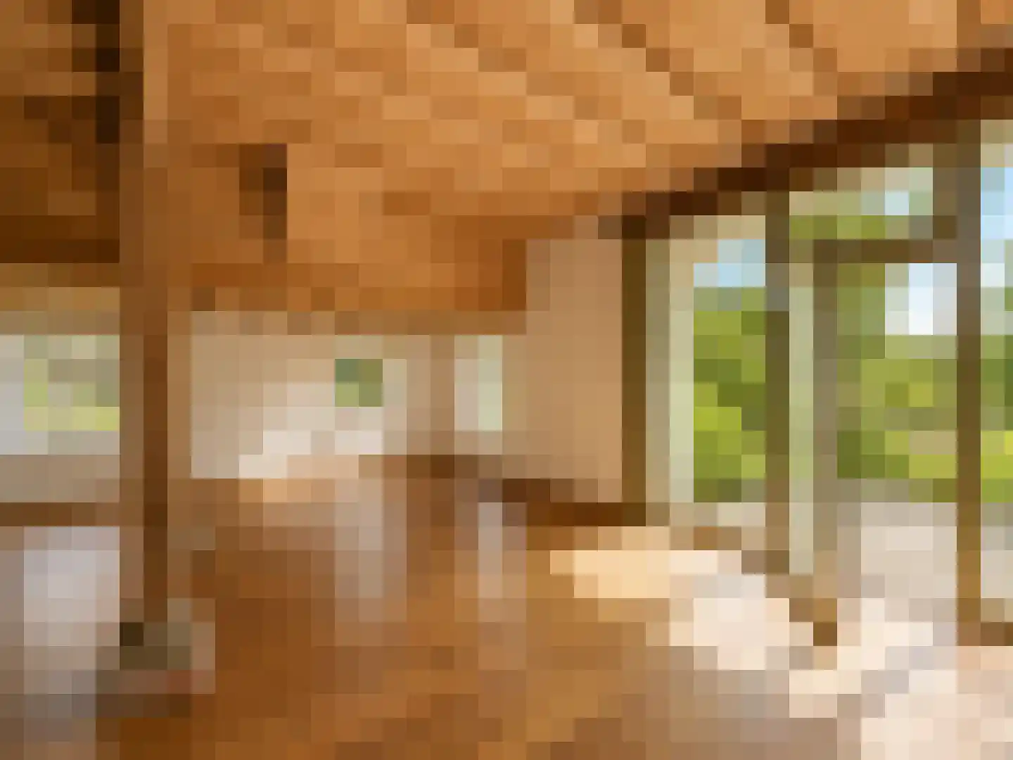 Arenborgweg 113 Venlo thumbnail 6