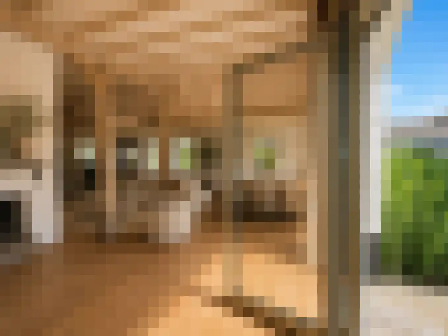 Arenborgweg 113 Venlo thumbnail 7