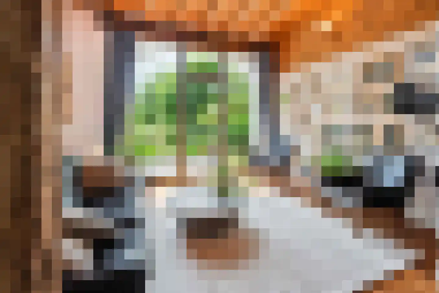 Arenborgweg 113 Venlo thumbnail 8