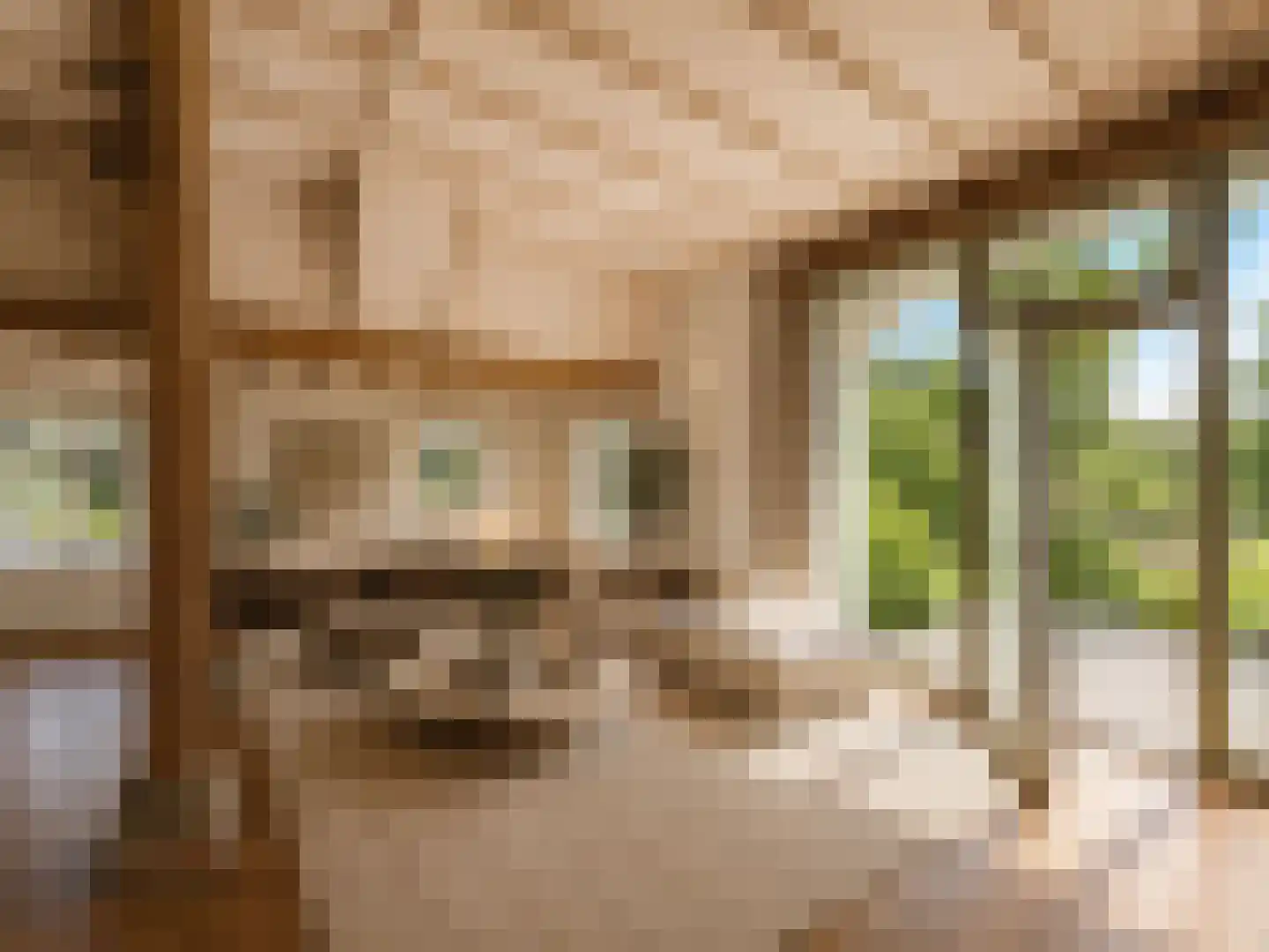 Arenborgweg 113 Venlo thumbnail 8