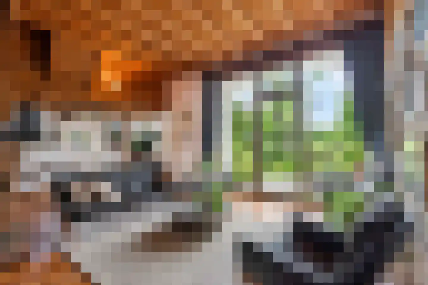 Arenborgweg 113 Venlo thumbnail 9