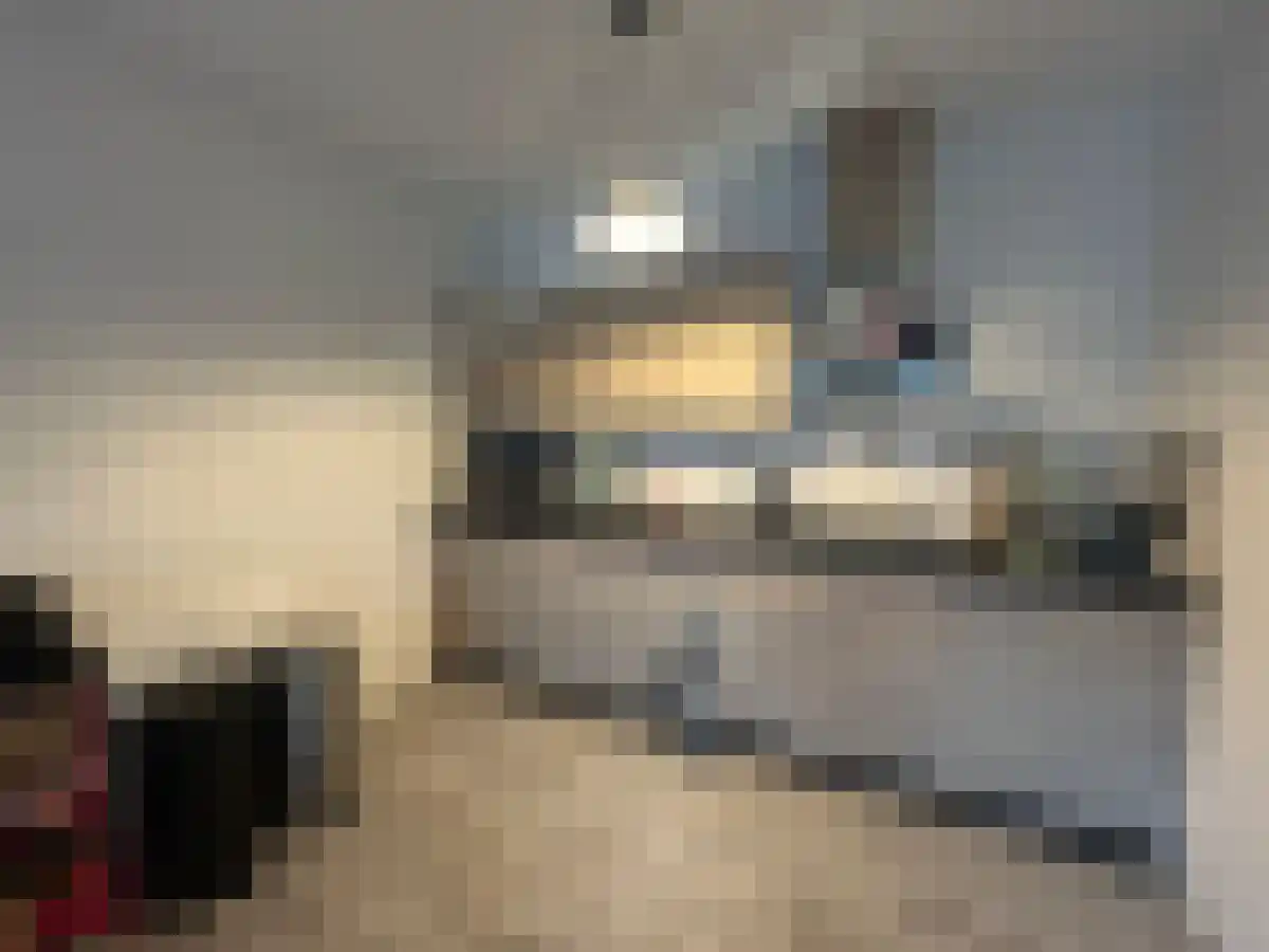 Arend 202 Sassenheim thumbnail 6